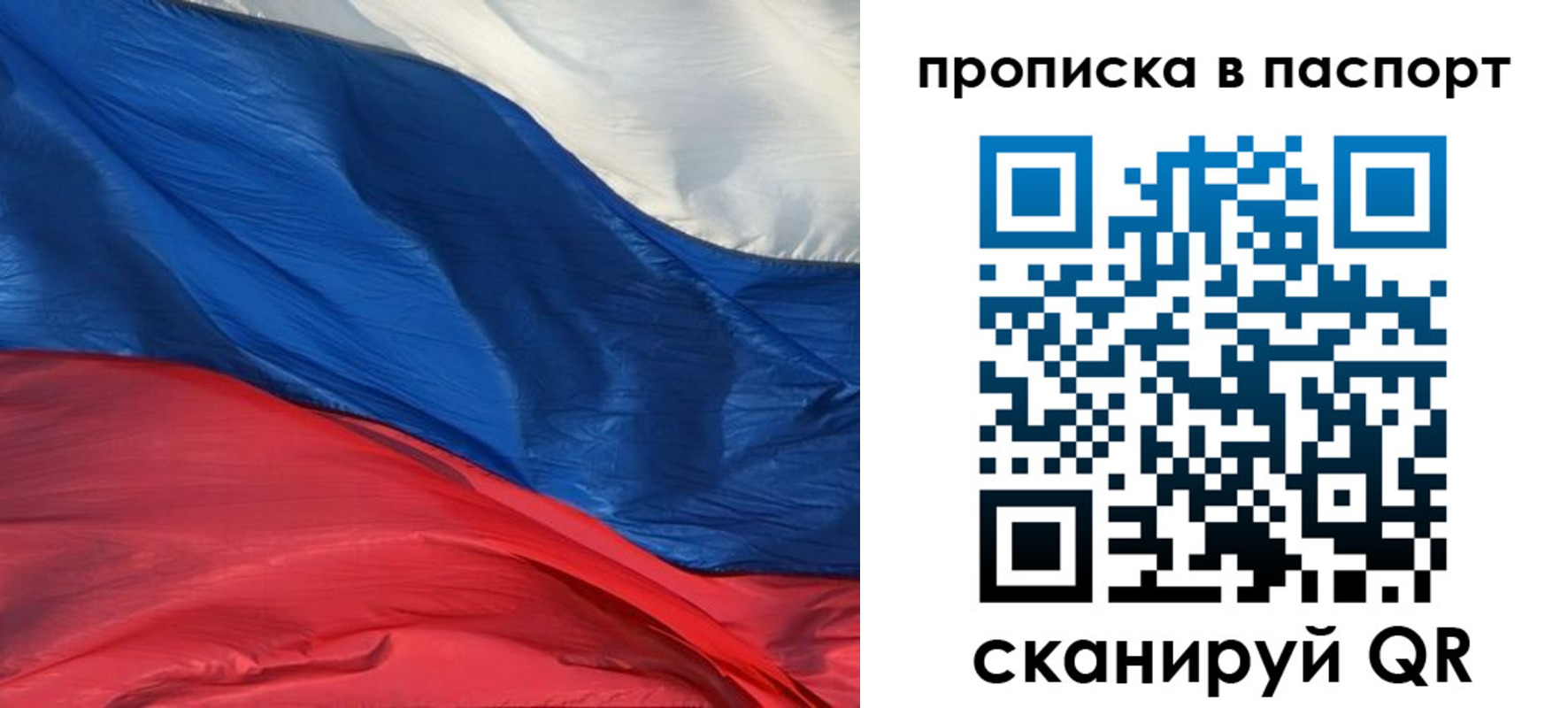 найти адрес прописки в Зеленоградске